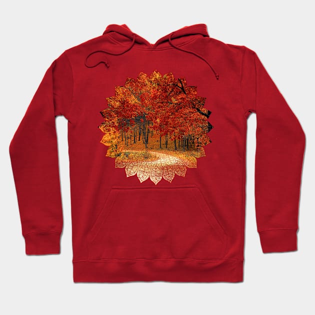 Autumn Landscape Hoodie by emma17